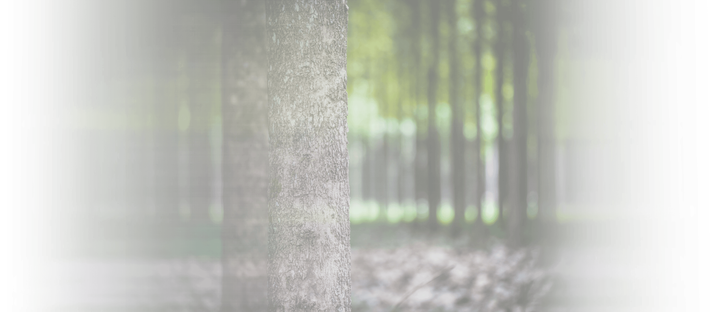 05-fond climat biodiv 01 copy